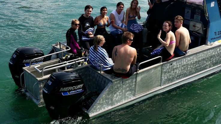 Mercury SeaPros deliver outstanding fuel savings for dive operator